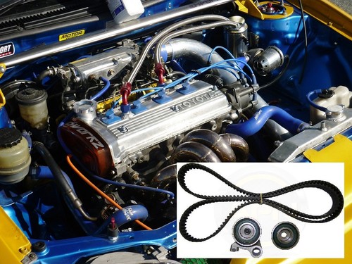 Timing belt cam kit - belt, for